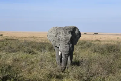 DSC_3854 (Large).JPG